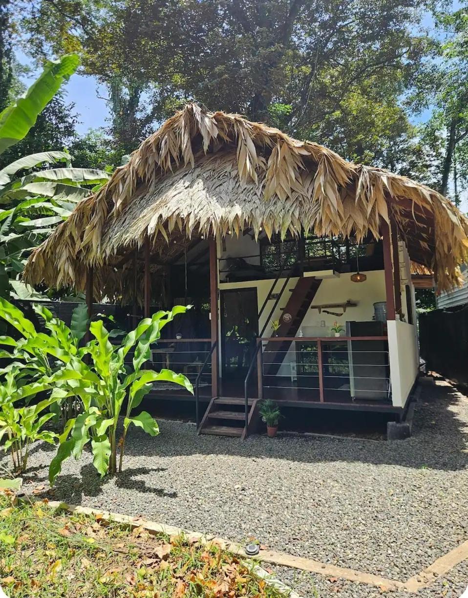 Evolution House Jungle Oasis Villa Hone Creek Екстериор снимка
