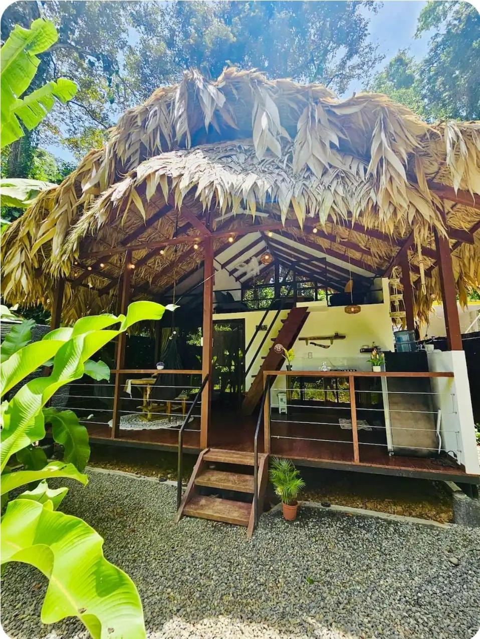 Evolution House Jungle Oasis Villa Hone Creek Екстериор снимка