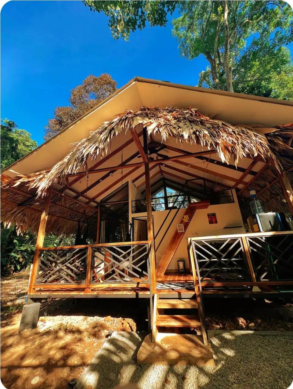 Evolution House Jungle Oasis Villa Hone Creek Екстериор снимка
