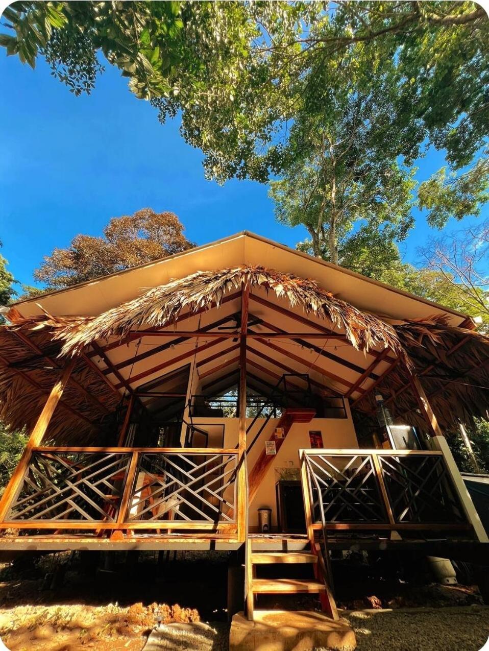 Evolution House Jungle Oasis Villa Hone Creek Екстериор снимка